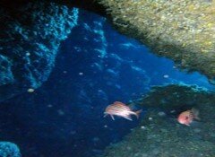 portbook.gr port Cave_of_St_Paul32014-05-17_03_32_42_large.jpg